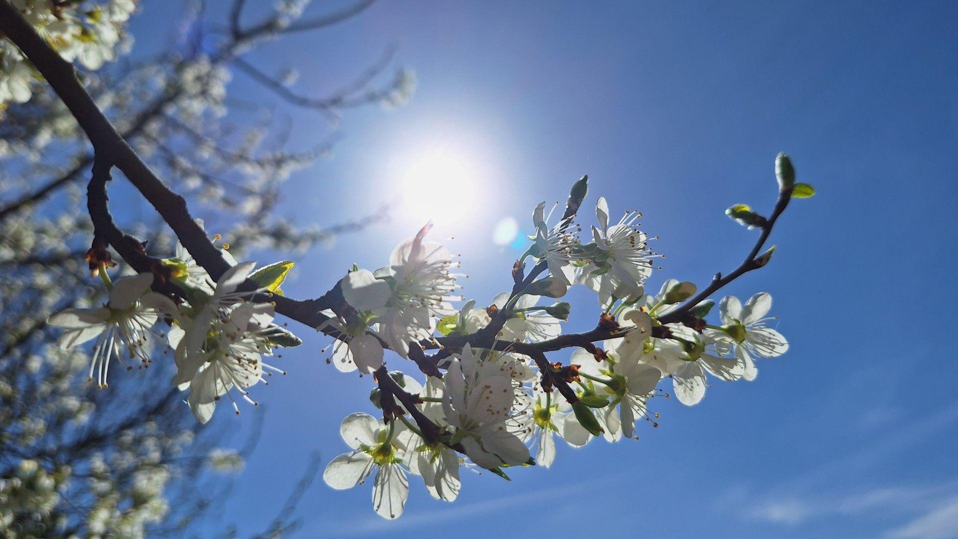Sunshine for the UK this week with temperatures set to hit 20C