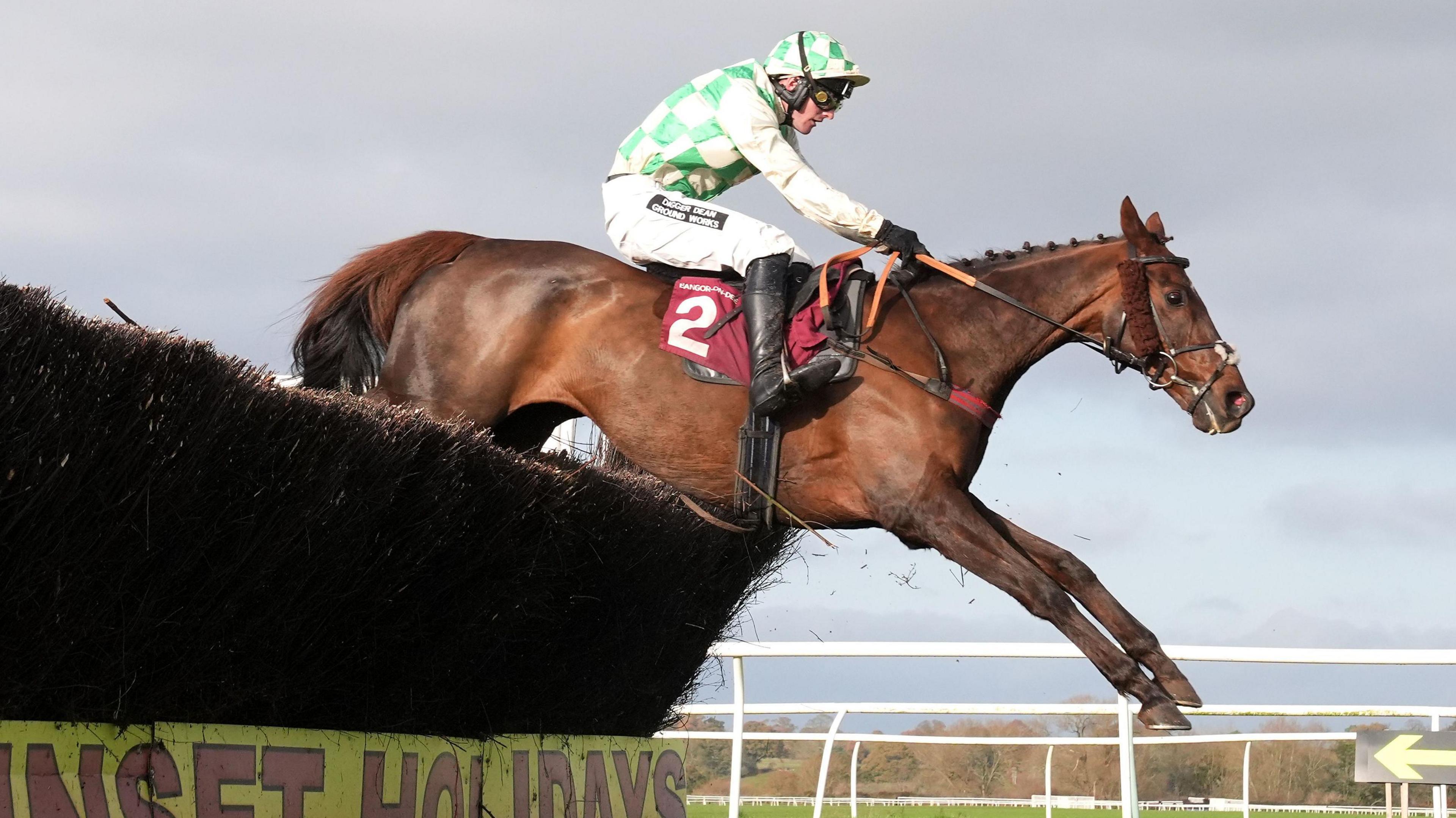 Grand National horse Celebre d&#039;Allen dies after collapse