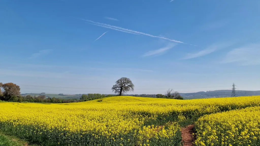 UK could see hottest day of the year as sunshine continues