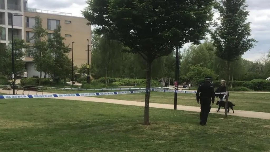 Man charged with murder and robbery of 87-year-old