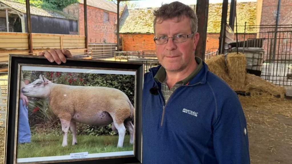 Polluted airport water &#039;destroyed my unborn lambs&#039;