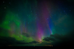 Berlevag Northern Lights 04