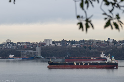 Commencement Bay, GUO YUAN 8 bulk carrier, IMO 9579236, CARAVOS HARMONY- IMO 9595589