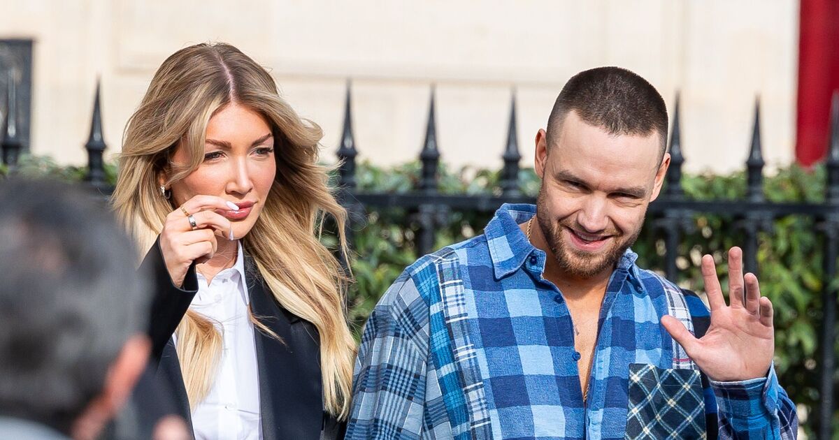 Liam Payne legal twist over £24.3m fortune as expert makes Bear statement