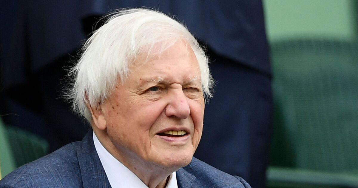 Sad reason David Attenborough&#039;s Instagram account has remained silent for 5 years