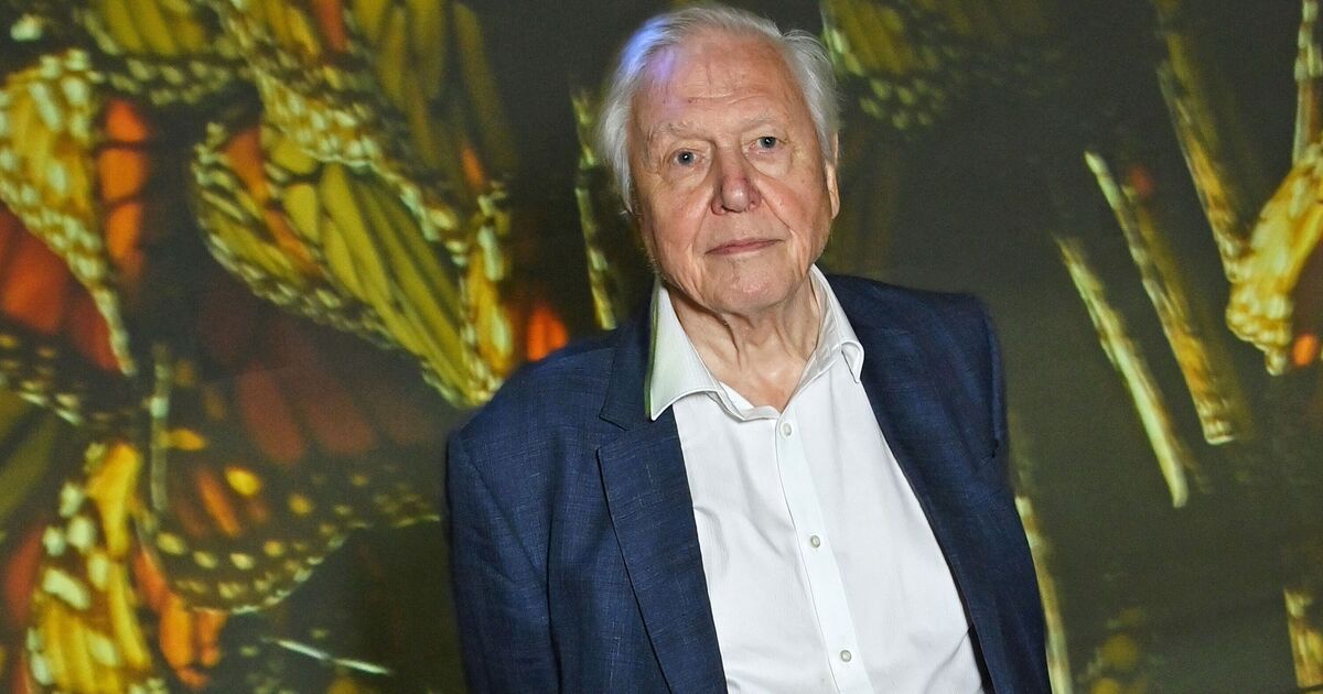 David Attenborough issues heartbreaking update after &#039;end of life&#039; admission