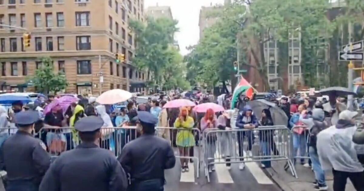 Pro-Palestine protestors erupt outside Met Gala 2025 moments before stars hit red carpet