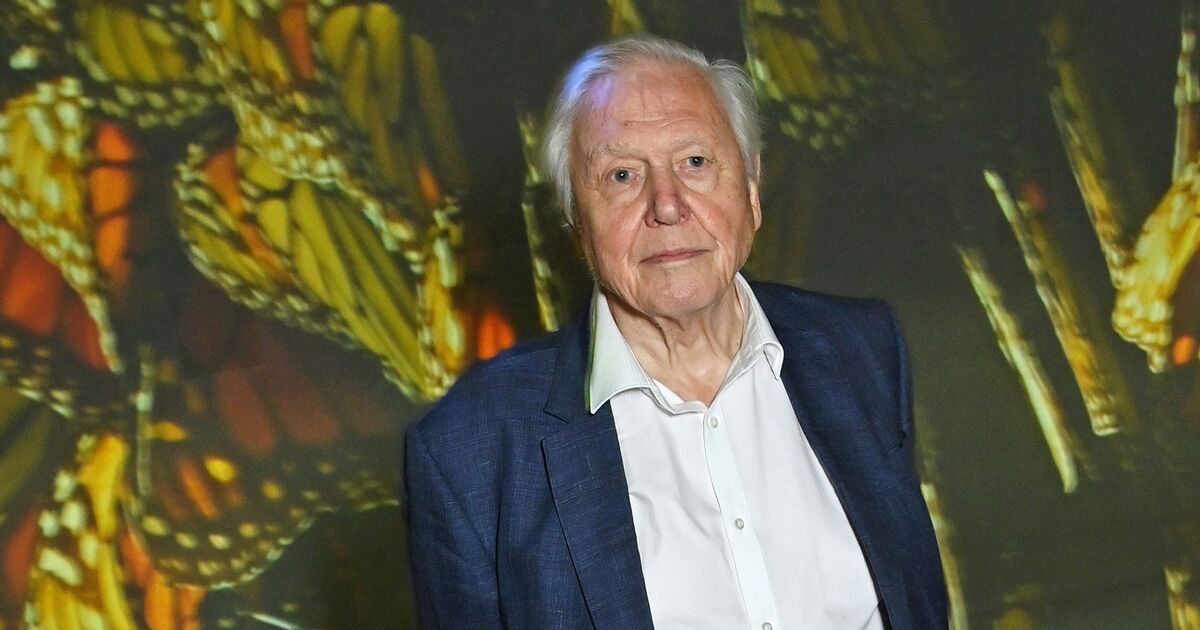 David Attenborough says &#039;almost out of time&#039; in emotional statement before 99th birthday