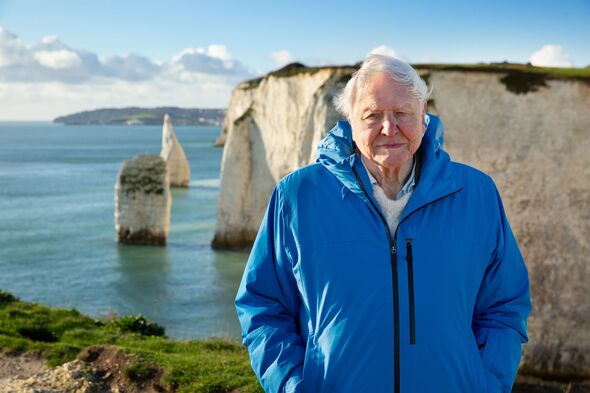 Insiders reveal what working with David Attenborough is really like behind the scenes