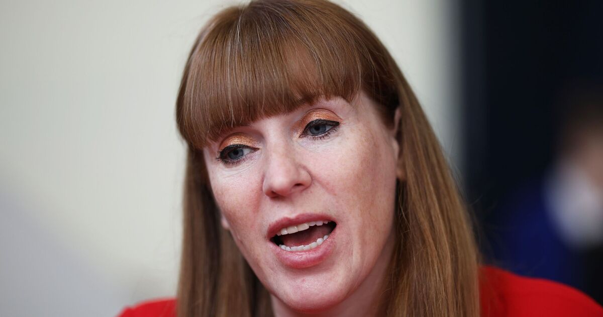 Angela Rayner warned huge plan will cost taxpayers billions