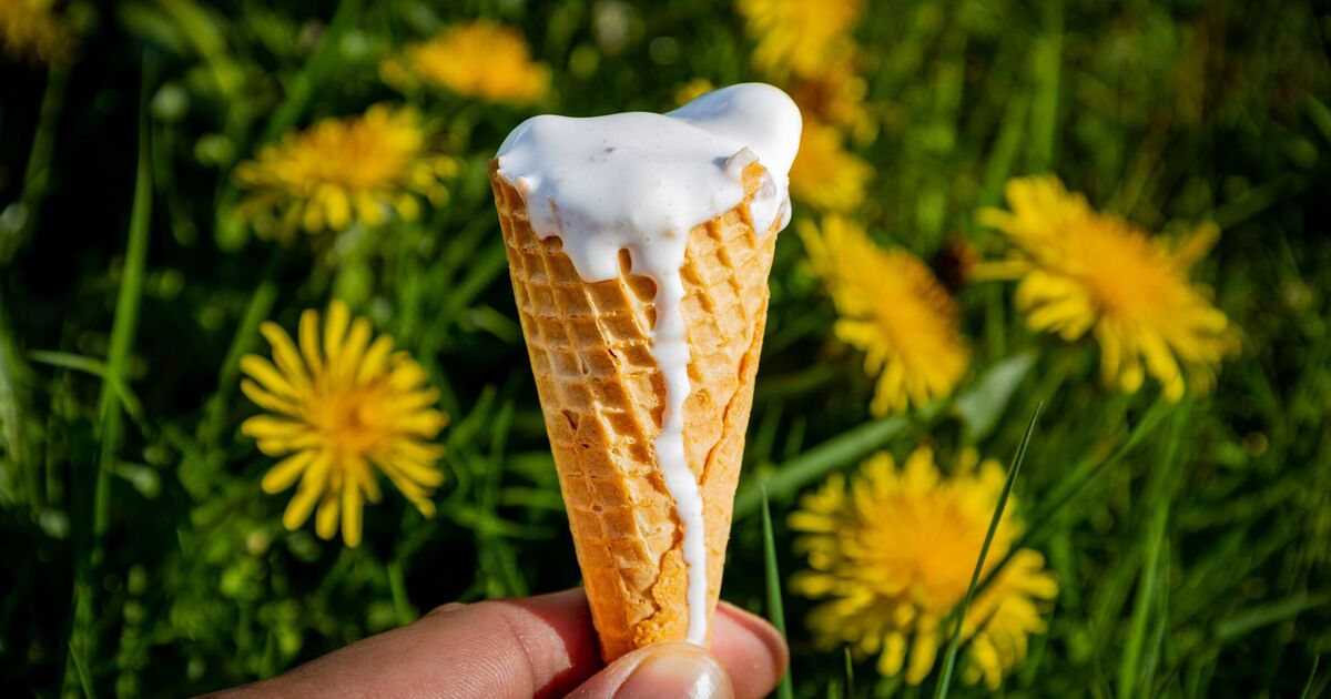 Discover what your ice cream eating style reveals about your personality traits