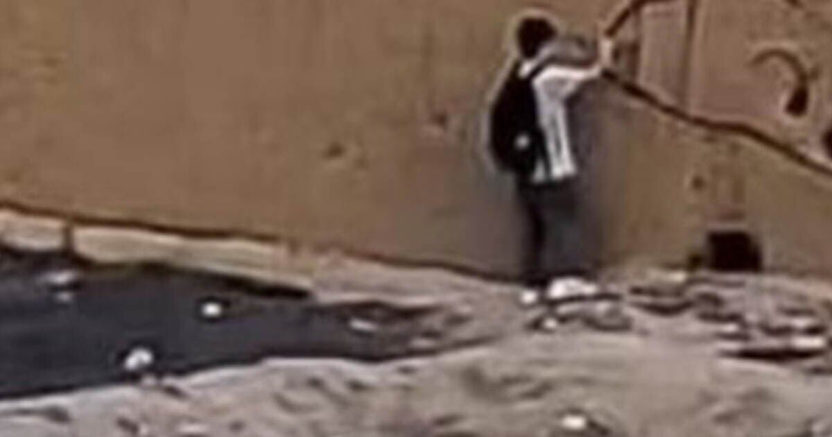 Fury as yob spray paints giant penis onto ancient UNESCO site