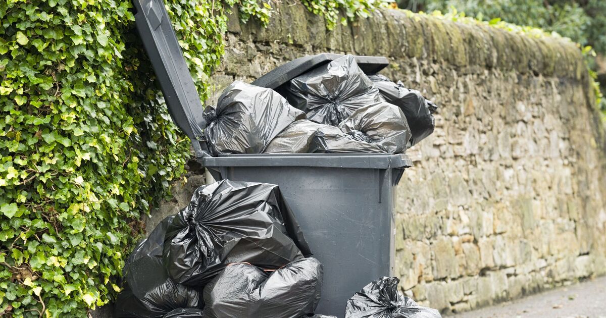 Outrage as Lib Dem council approves plans for three-week bin collections