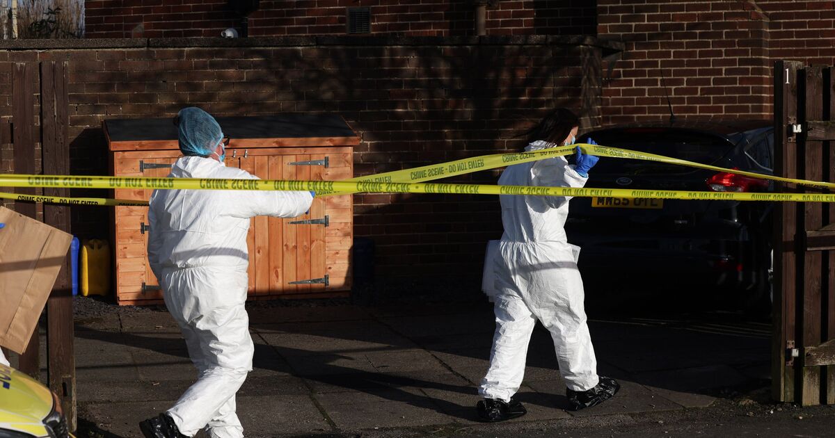 Pensioner, 84, savaged by XL bully dies in hospital