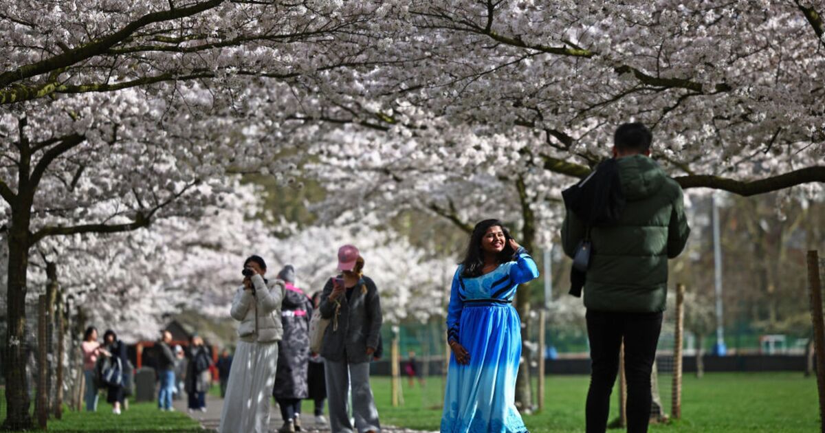 Beautiful UK park that&#039;s blooming with blossom trees has people rushing to visit