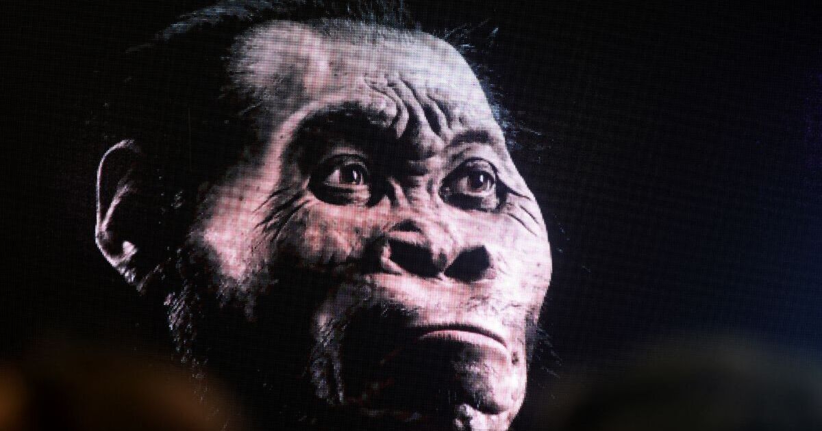 Archaeologists make incredible discovery from 250,000 years ago that could rewrite history