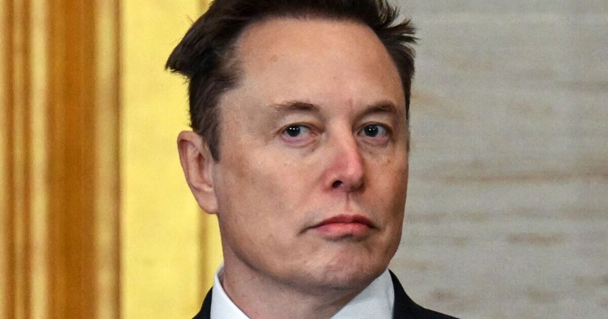 Tesla shares tumble after worst quarter since 2022 as Elon Musk suffers another huge blow