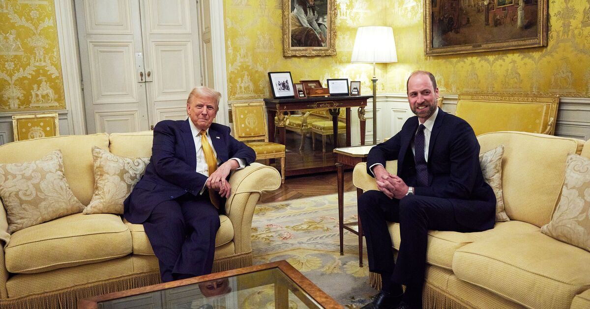 Expert pinpoints real reason Prince William is key figure in dealing with Donald Trump