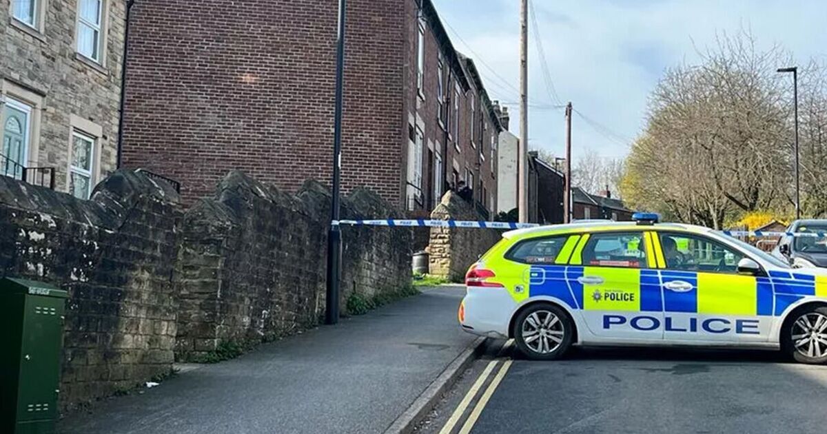 XL bully &#039;on the loose&#039; after armed police try and shoot it