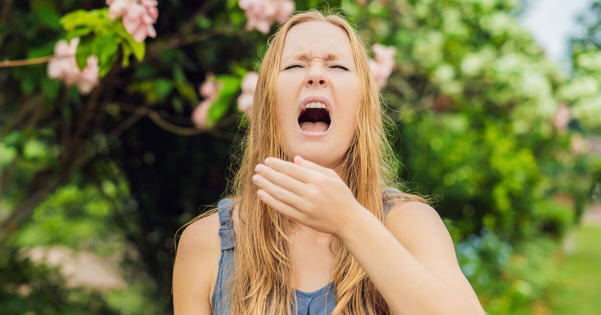 Met Office forecasts &#039;very high&#039; pollen count as map shows 4 areas worst hit