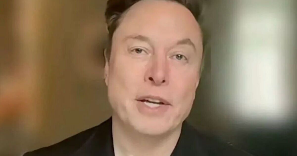 Elon Musk finally lashes out at pal Donald Trump’s tariffs after Tesla&#039;s stocks plummet