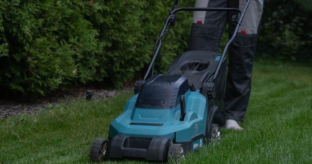Man uncovers item when mowing lawn – and can&#039;t believe what happens next