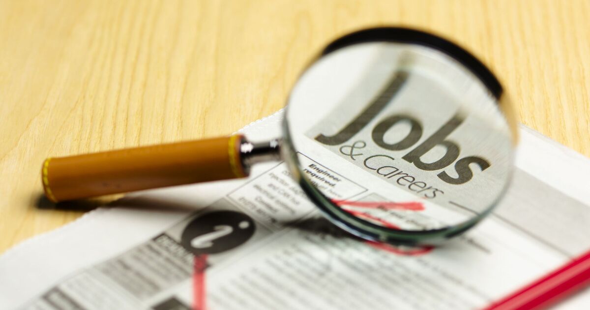 UK economy dealt another blow as job adverts &#039;plummet by nearly a quarter&#039;
