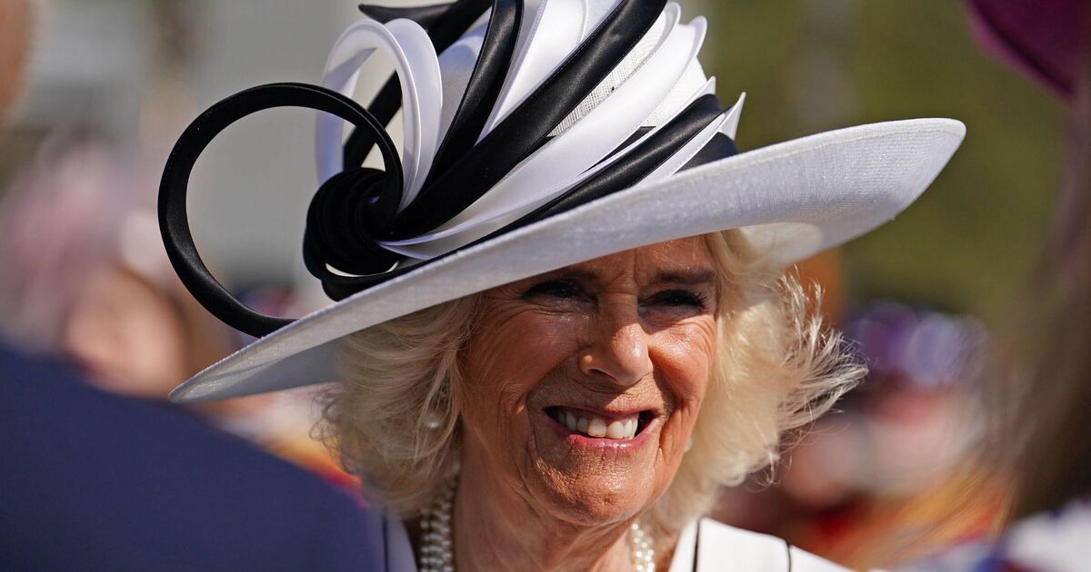 Queen Camilla&#039;s title she could have held for 17 years - but chose not to