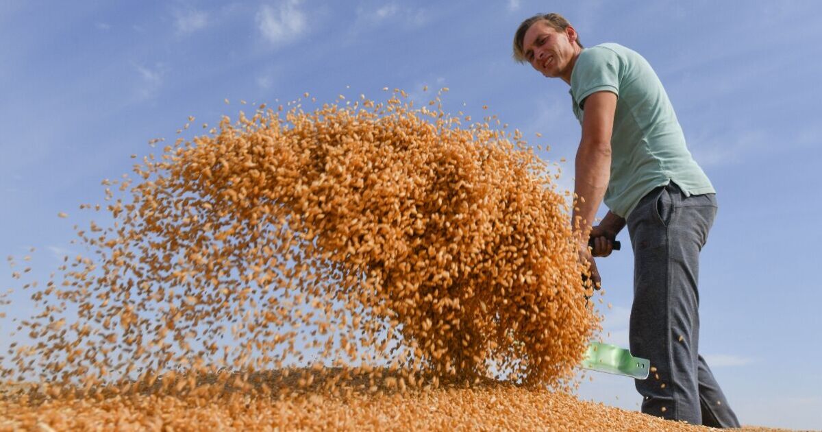 Russia economy meltdown as wheat export falls and car sales plummet