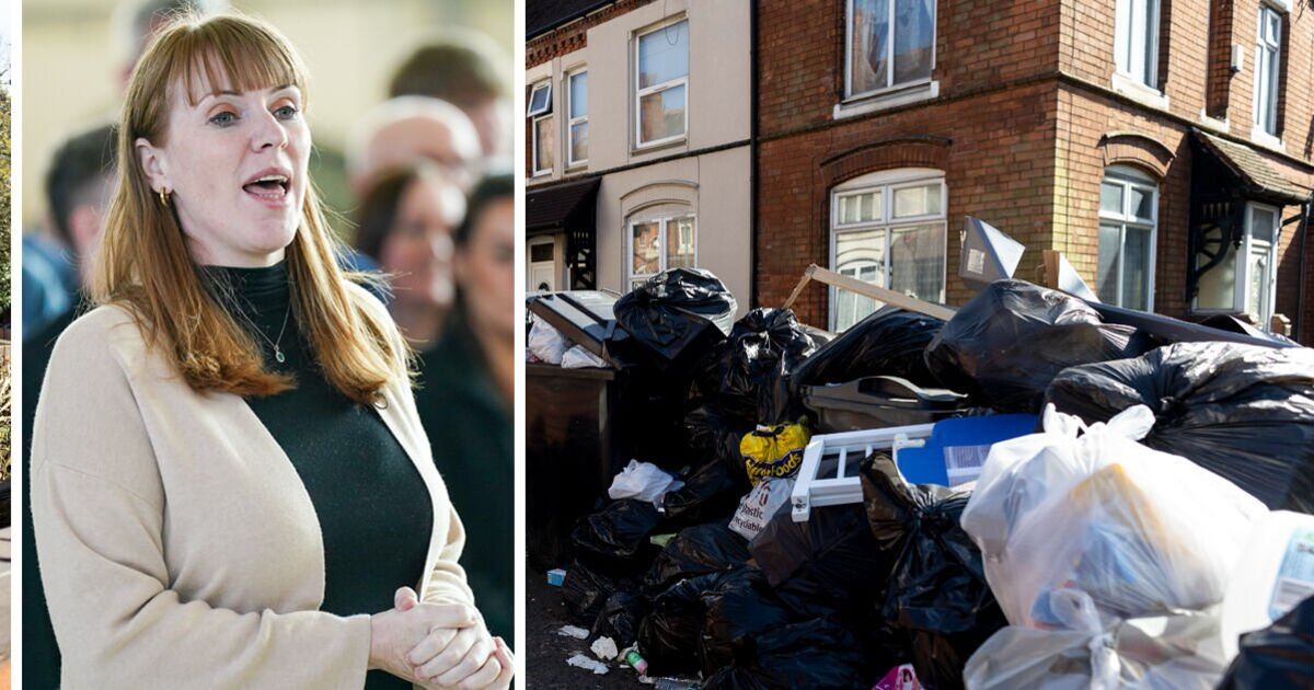 Angela Rayner turns on union pals as she backs Birmingham bin strike suspension