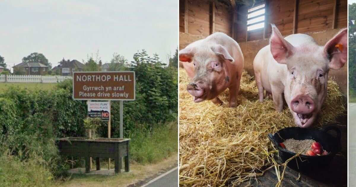 Fury at council&#039;s &#039;unbelievably woke&#039; and &#039;bonkers&#039; plan to rename area &#039;Pig Village&#039;