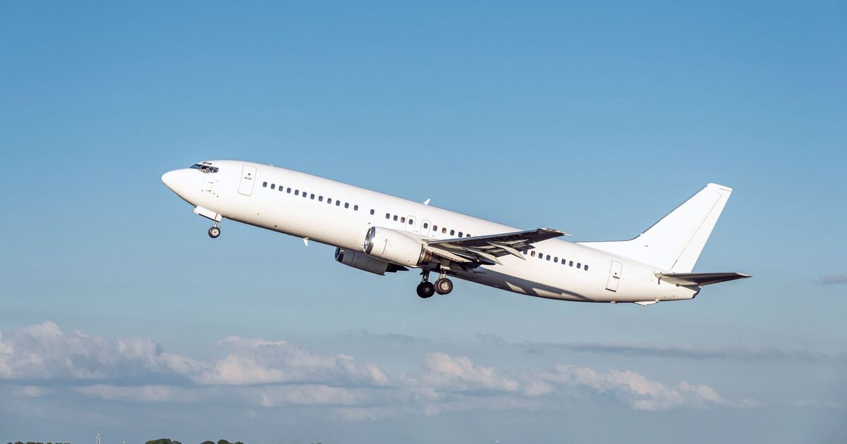 People only just realising why passenger planes are always painted white