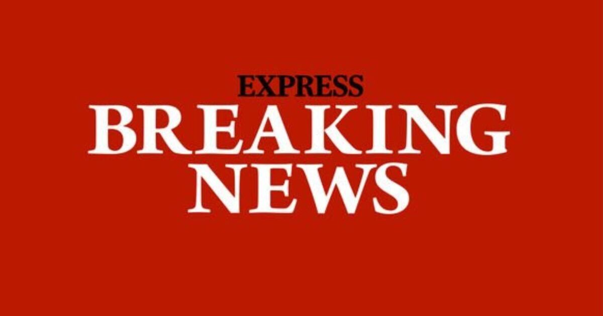 Young child injured in horror dog attack