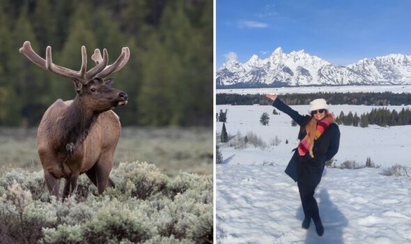 &#039;I visited a little town that&#039;s a haven for billionaires with a one-of-a-kind airport&#039;