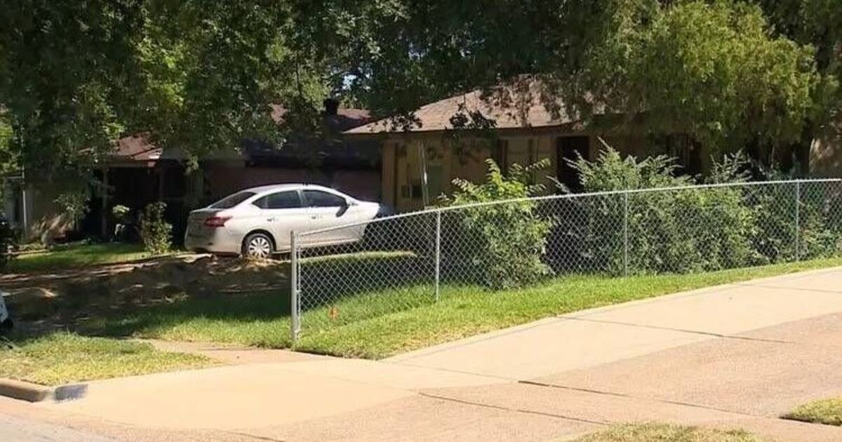 Girl, 4, killed in &#039;dog attack&#039; at house where police find six pitbulls