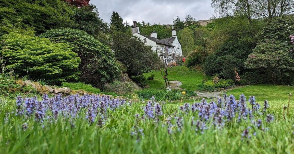 William Wordsworth&#039;s Lake District home to be saved by Brian Cox and fellow actors