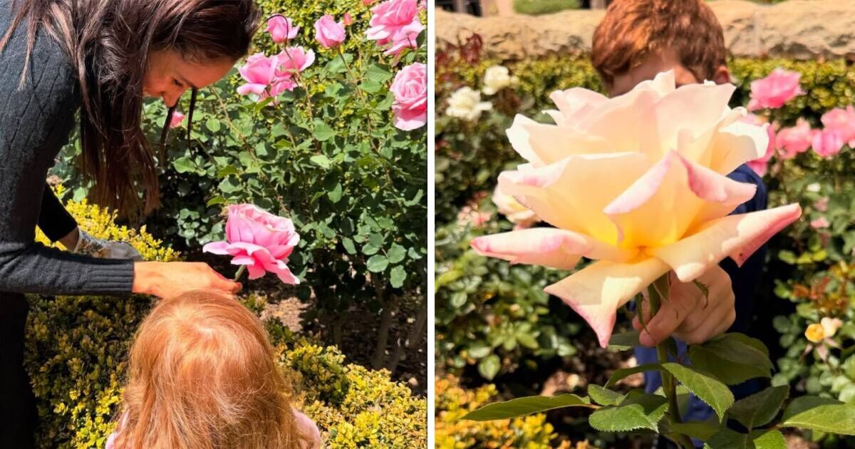 Everyone is saying the same thing about Prince Archie and Princess Lilibet&#039;s new photos