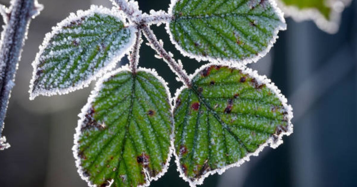 Cold weather forecast as UK hit by Arctic freeze with -2C as far south as London