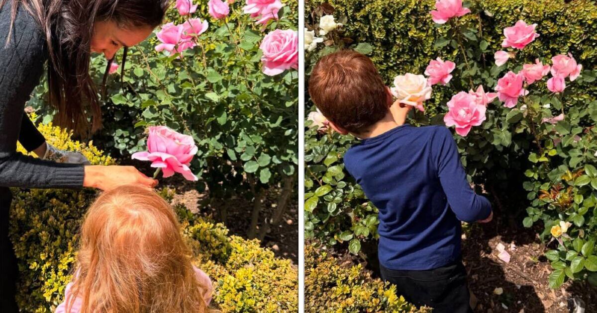 Expert pinpoints why we&#039;re suddenly seeing Prince Archie and Princess Lilibet more