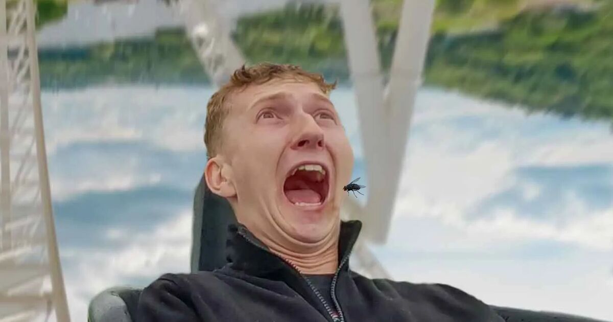 Thorpe Park forced to issue vegan warning on rollercoaster for bizarre reason