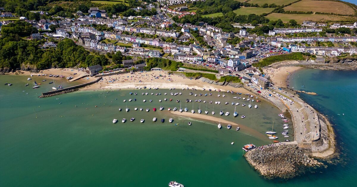 One of UK’s ‘best’ seaside towns with golden sands and dolphins at sea