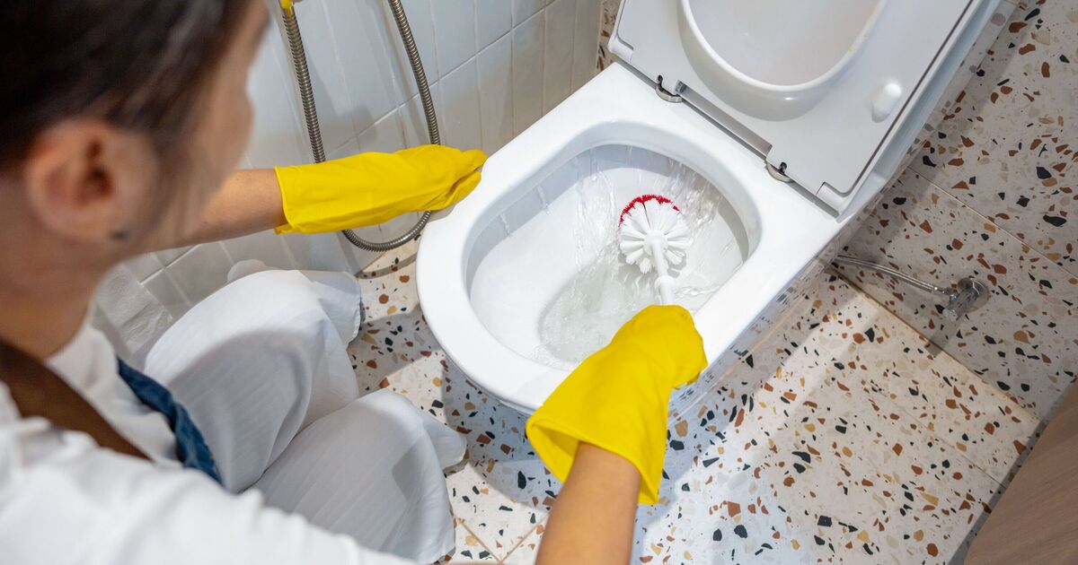 Brits urged to stop using bleach for cleaning the bathroom - use this instead