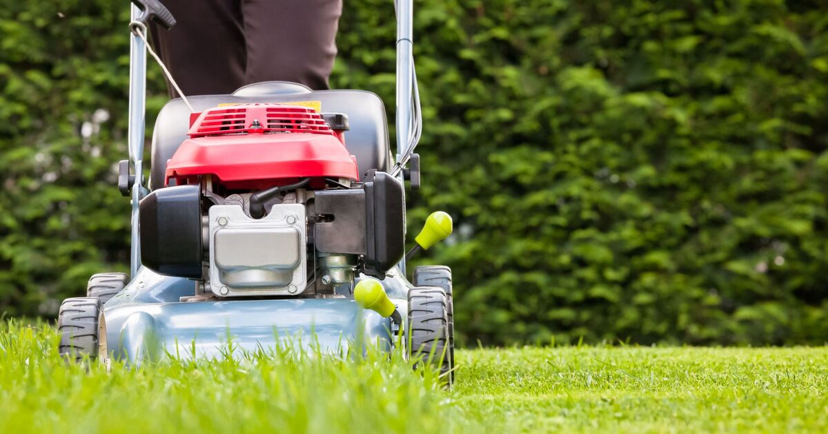 Gardening expert warns that people are mowing their lawn at the wrong time