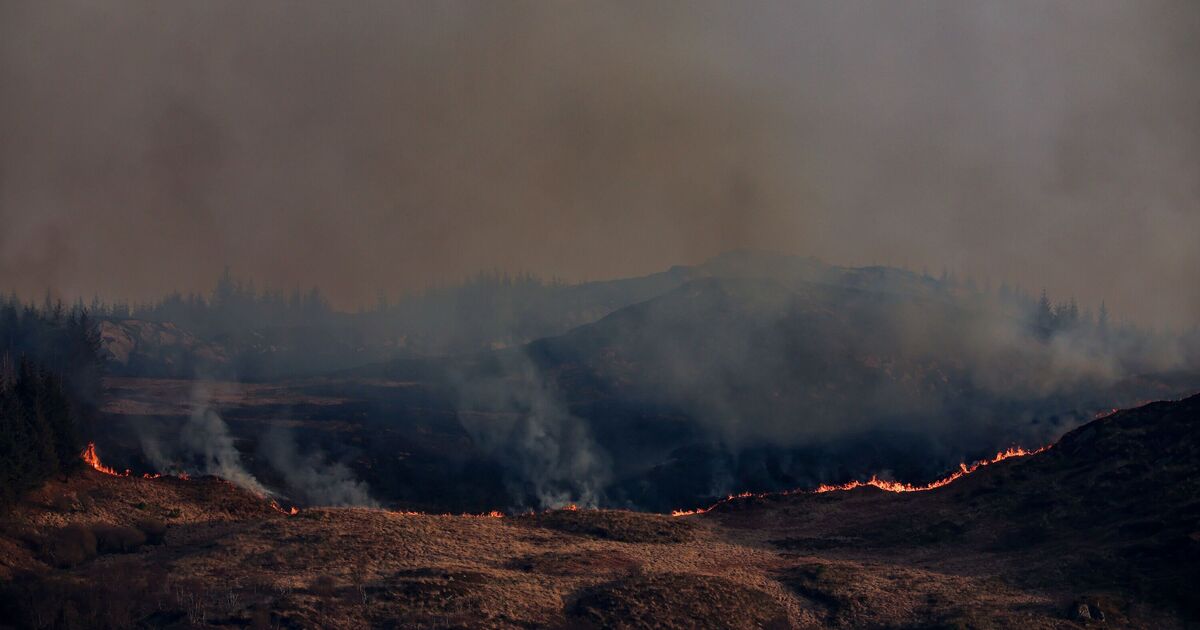 Huge part of UK under &#039;very high danger&#039; wildfire warning - &#039;exercise extreme caution&#039;