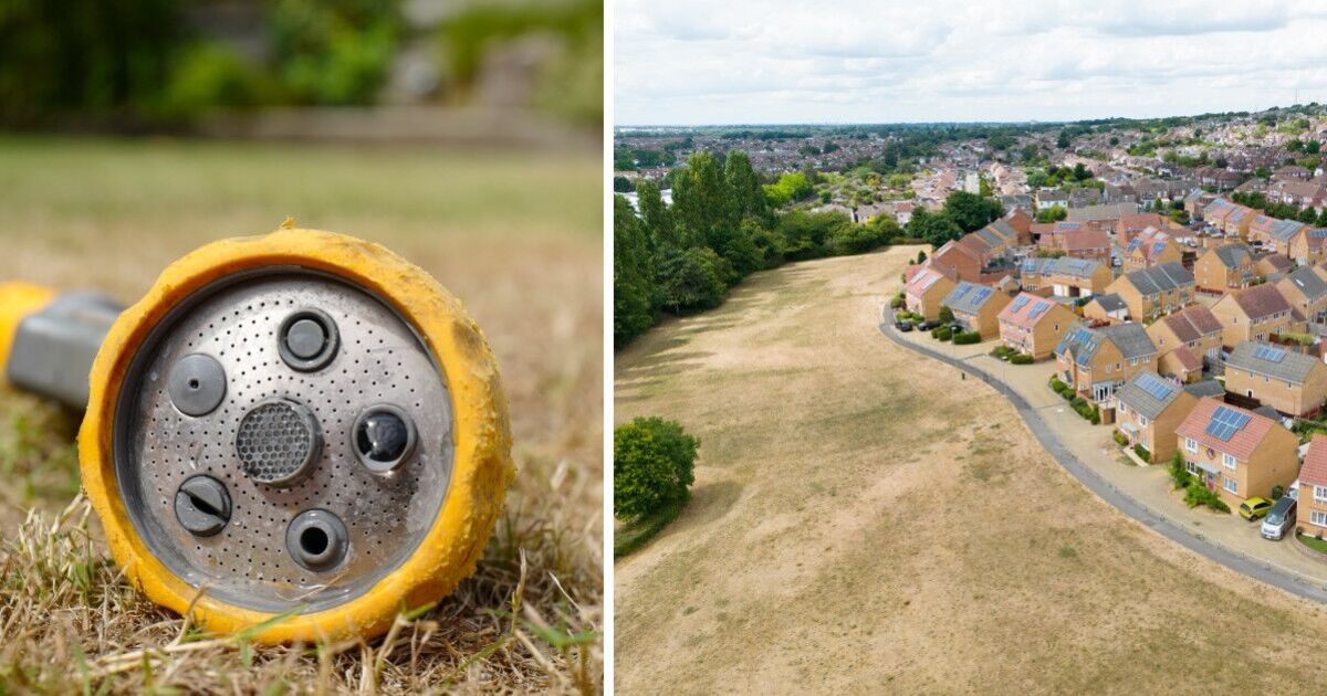 Households in England could face hosepipe ban after driest spring in 69 years