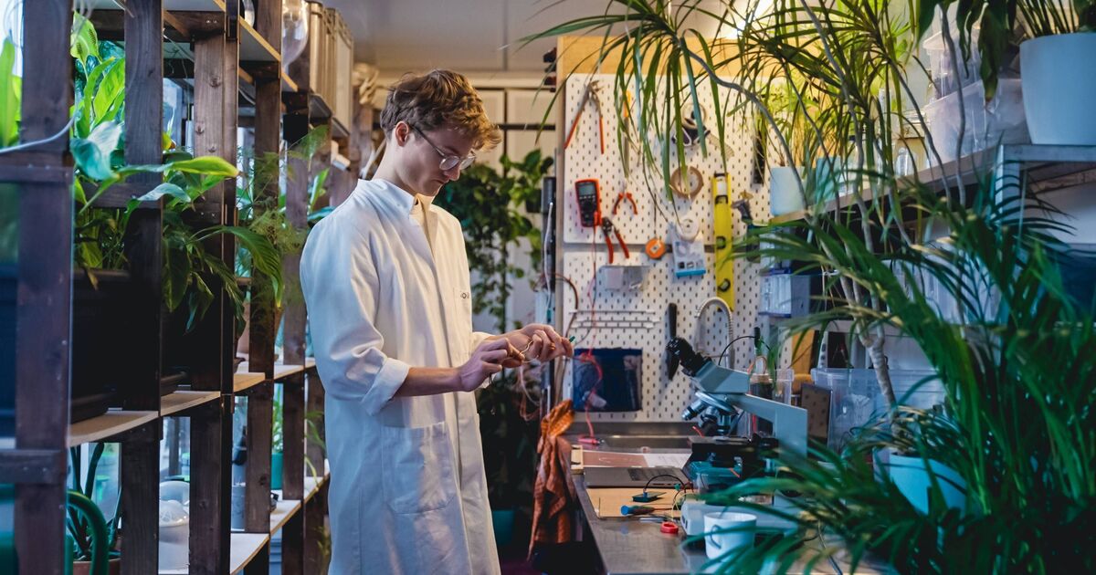 World&#039;s first photoshoot &#039;powered by plants&#039; takes place to capture stunning images of ele