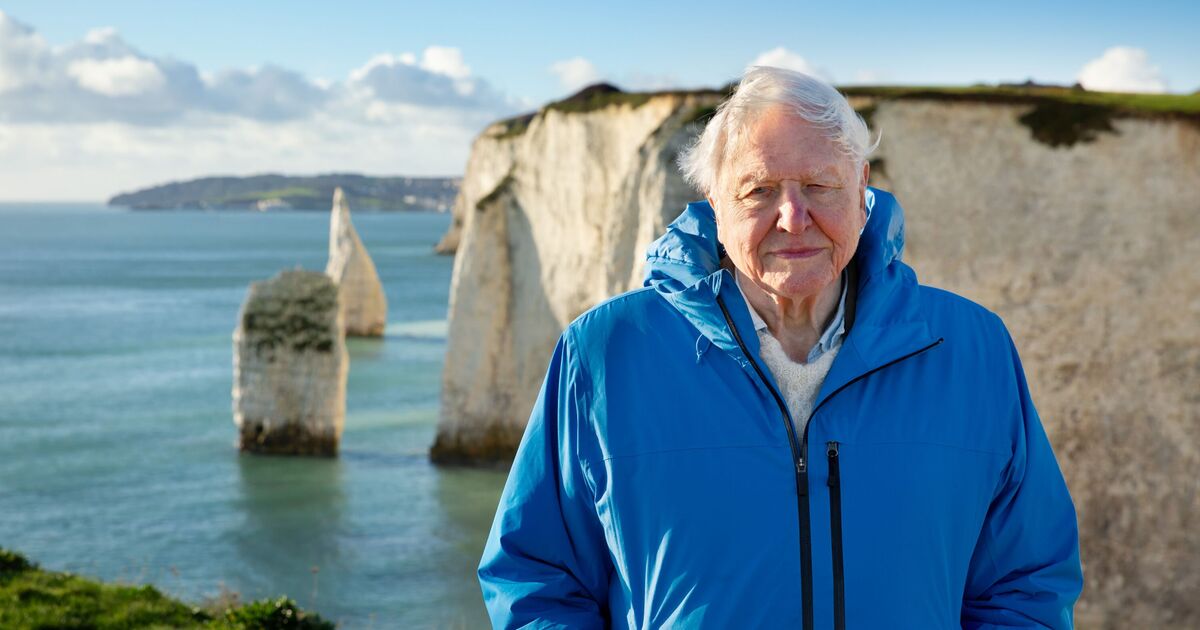 One thousand ways Sir David Attenborough is inspiring the next generation of naturalists