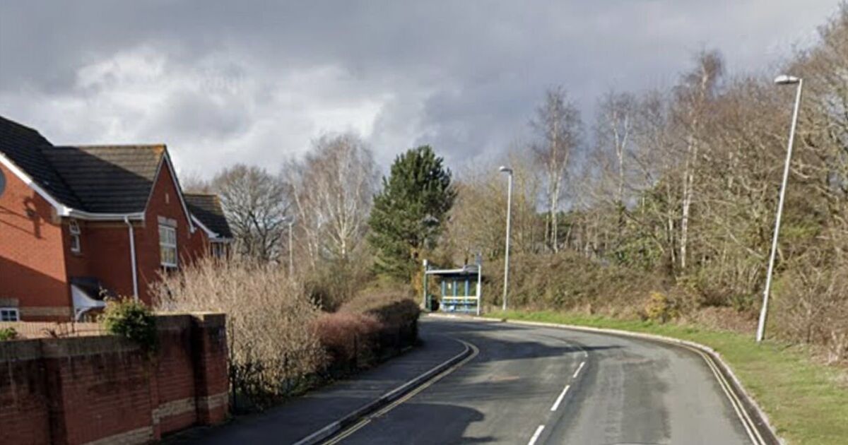 Horror after two teenage girls &#039;raped and sexually assaulted&#039; as 19-year-old arrested