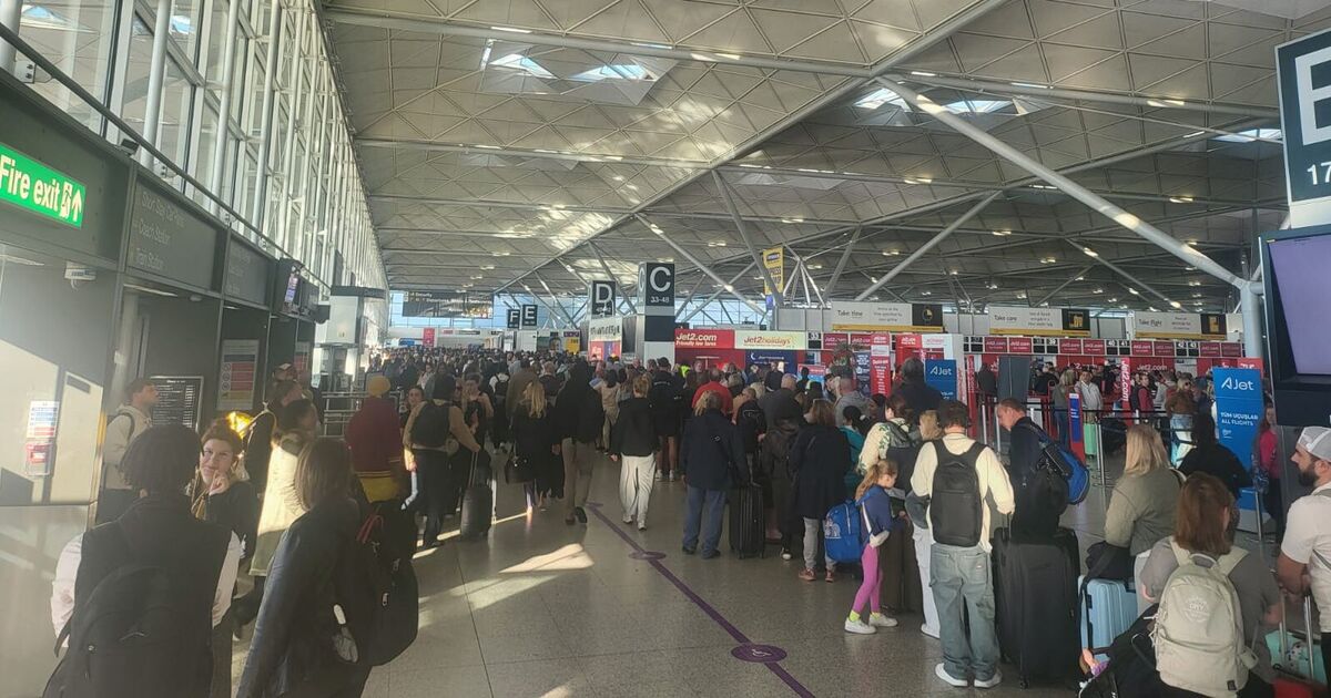 Travel chaos at Stansted airport as flights delayed after IT system hit with &#039;issue&#039;