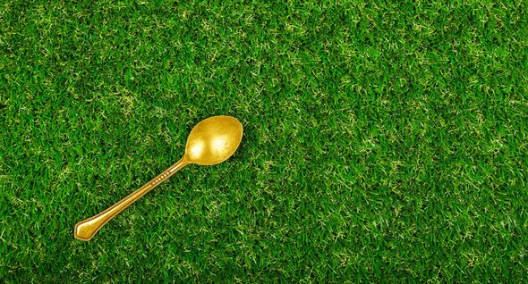 Brits with gardens urged to leave a spoon outside for &#039;emergency&#039; reason